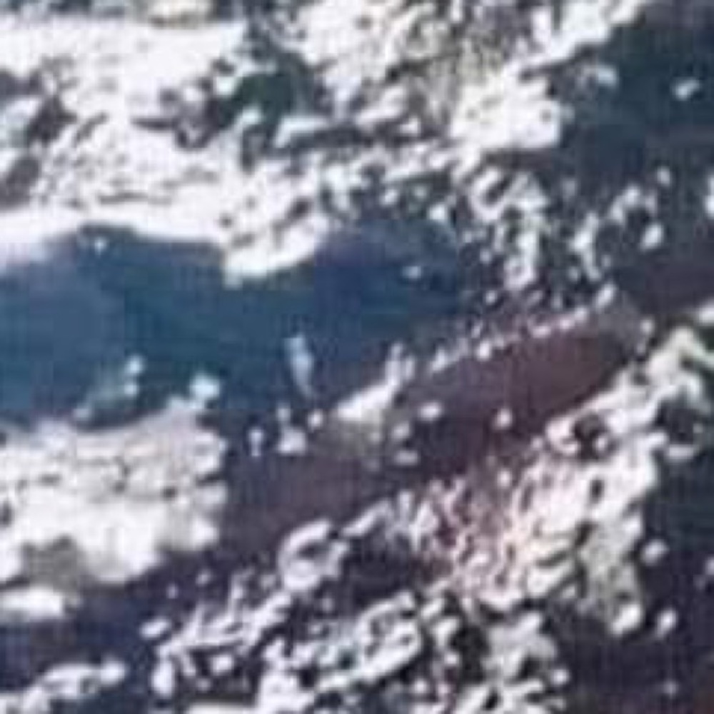 Meet your Posher, Gunjan